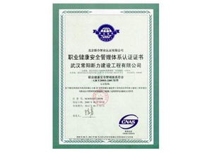 匠心筑就城市未來——武漢常陽新力建設(shè)工程圖冊賞析